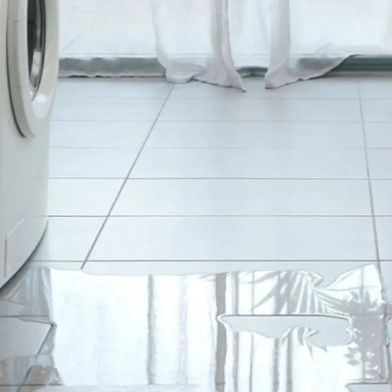 Appliance Leak Cleanup in Fresno, TX