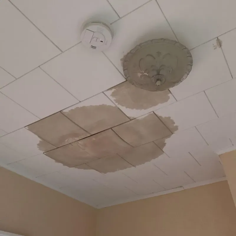 Ceiling Water Damage Repair in Fresno, TX
