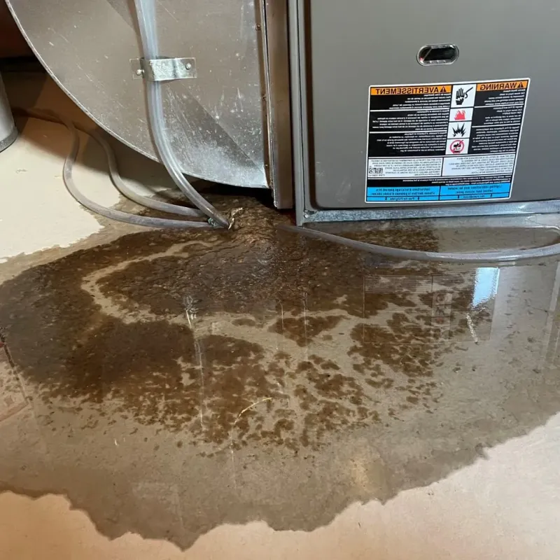 Pipe Burst and Leak Restoration in Fresno, TX