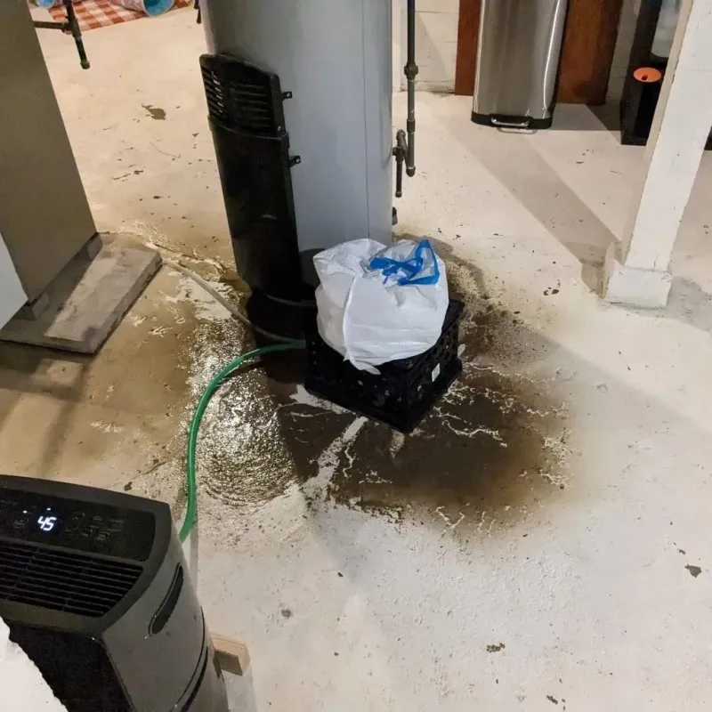 Sewage Backup Cleanup Service in Fresno, TX